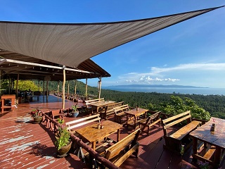 Dividenden Blog Rückblick - Kalenderwoche 15 / 2021